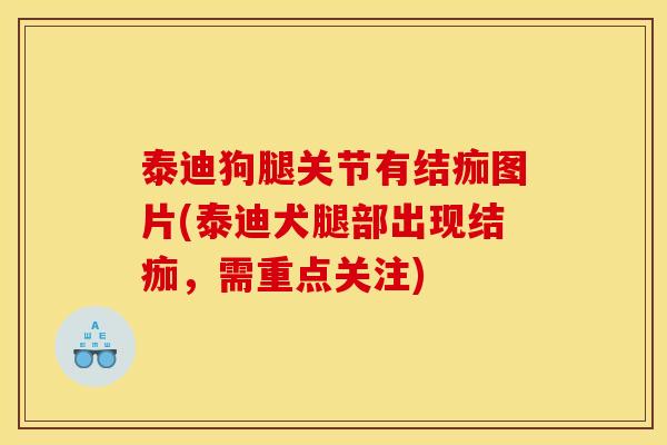 泰迪狗腿关节有结痂图片(泰迪犬腿部出现结痂，需重点关注)