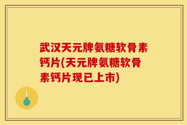 武汉天元牌氨糖软骨素钙片(天元牌氨糖软骨素钙片现已上市)