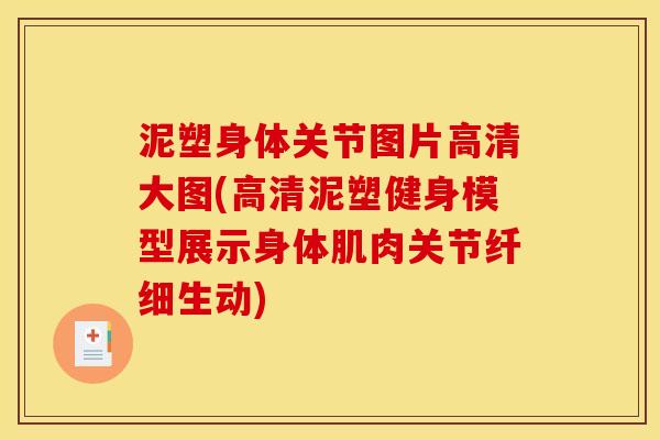 泥塑身体关节图片高清大图(高清泥塑健身模型展示身体肌肉关节纤细生动)