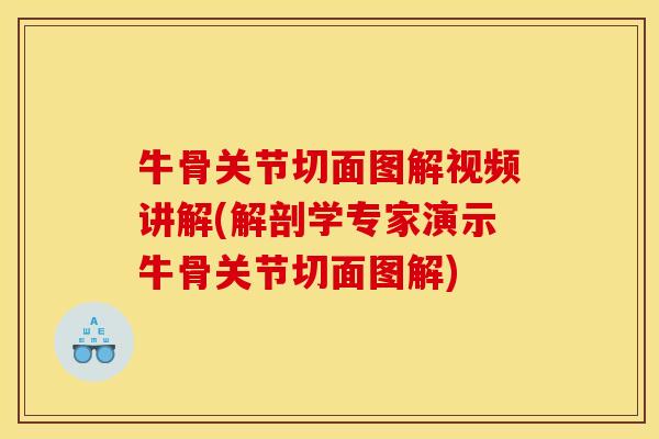 牛骨关节切面图解视频讲解(解剖学专家演示牛骨关节切面图解)