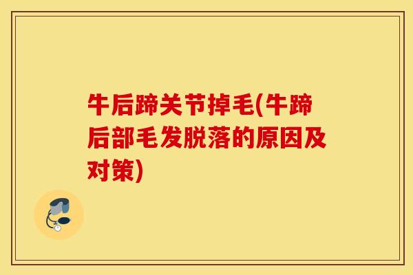 牛后蹄关节掉毛(牛蹄后部毛发脱落的原因及对策)