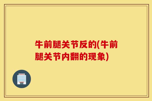 牛前腿关节反的(牛前腿关节内翻的现象)
