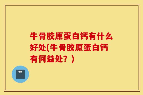 牛骨胶原蛋白钙有什么好处(牛骨胶原蛋白钙有何益处？)