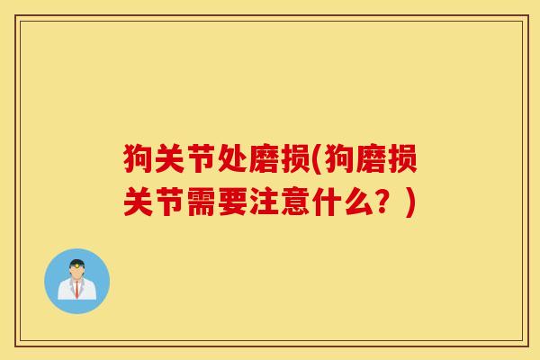 狗关节处磨损(狗磨损关节需要注意什么？)