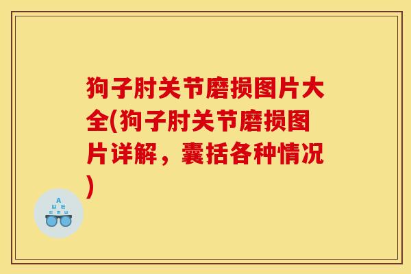 狗子肘关节磨损图片大全(狗子肘关节磨损图片详解，囊括各种情况)