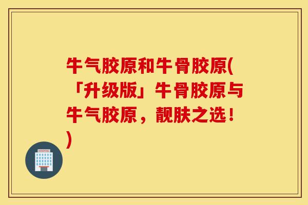 牛气胶原和牛骨胶原(「升级版」牛骨胶原与牛气胶原，靓肤之选！)