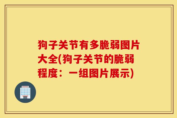 狗子关节有多脆弱图片大全(狗子关节的脆弱程度：一组图片展示)