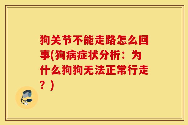 狗关节不能走路怎么回事(狗病症状分析：为什么狗狗无法正常行走？)