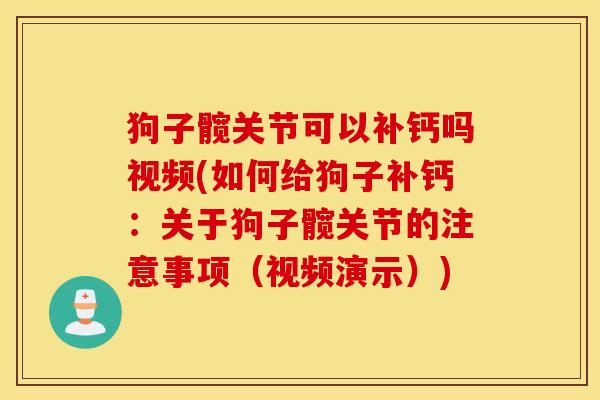 狗子髋关节可以补钙吗视频(如何给狗子补钙：关于狗子髋关节的注意事项（视频演示）)