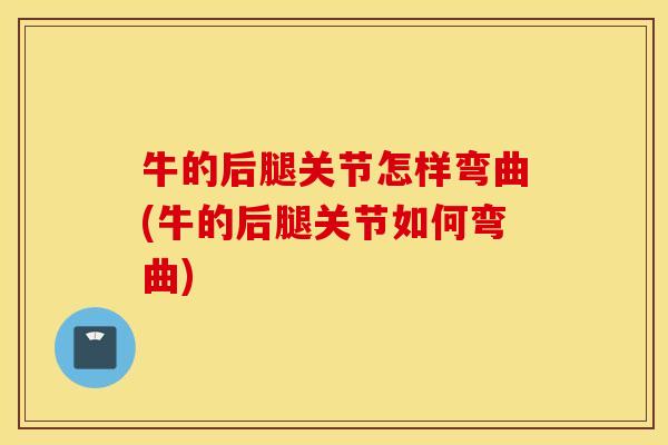 牛的后腿关节怎样弯曲(牛的后腿关节如何弯曲)