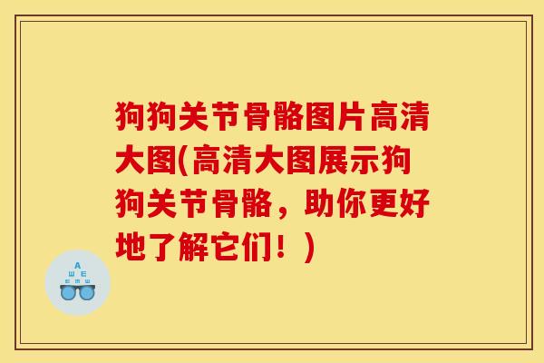 狗狗关节骨骼图片高清大图(高清大图展示狗狗关节骨骼,助你更好地了解它们!) 狗狗关节骨骼图片高清大图(高清大图展示狗狗关节骨骼,助你更好地了解它们!)