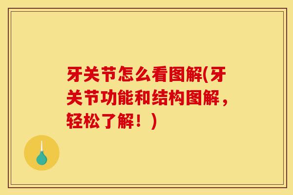 牙关节怎么看图解(牙关节功能和结构图解，轻松了解！)
