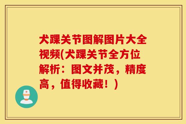犬踝关节图解图片大全视频(犬踝关节全方位解析：图文并茂，精度高，值得收藏！)
