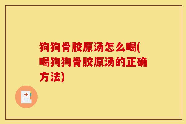 狗狗骨胶原汤怎么喝(喝狗狗骨胶原汤的正确方法)