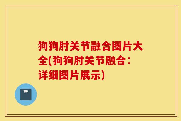 狗狗肘关节融合图片大全(狗狗肘关节融合：详细图片展示)