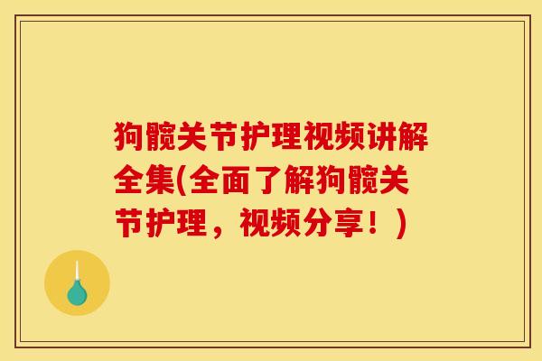 狗髋关节护理视频讲解全集(全面了解狗髋关节护理,视频分享!) 狗髋关节护理视频讲解全集(全面了解狗髋关节护理,视频分享!)