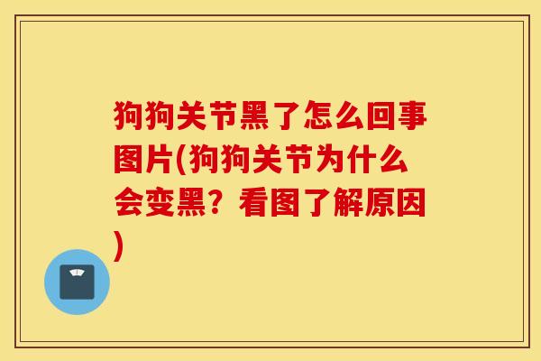 狗狗关节黑了怎么回事图片(狗狗关节为什么会变黑？看图了解原因)