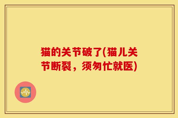 猫的关节破了(猫儿关节断裂,须匆忙就医) 猫的关节破了(猫儿关节断裂,须匆忙就医)