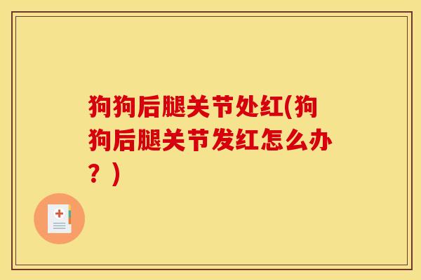 狗狗后腿关节处红(狗狗后腿关节发红怎么办？)