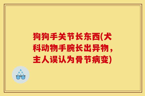 狗狗手关节长东西(犬科动物手腕长出异物，主人误认为骨节病变)