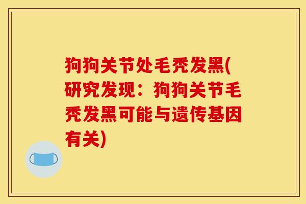 狗狗关节处毛秃发黑(研究发现：狗狗关节毛秃发黑可能与遗传基因有关)