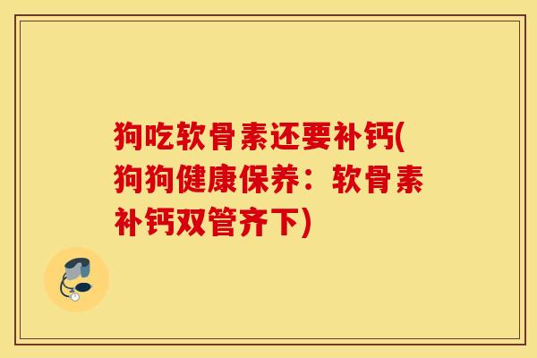 狗吃软骨素还要补钙(狗狗健康保养：软骨素补钙双管齐下)