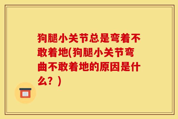 狗腿小关节总是弯着不敢着地(狗腿小关节弯曲不敢着地的原因是什么？)