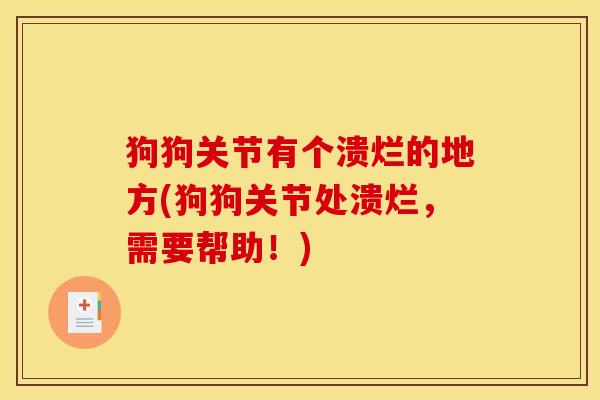 狗狗关节有个溃烂的地方(狗狗关节处溃烂，需要帮助！)