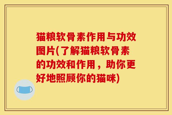 猫粮软骨素作用与功效图片(了解猫粮软骨素的功效和作用，助你更好地照顾你的猫咪)