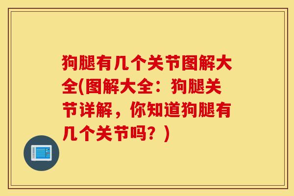 狗腿有几个关节图解大全(图解大全：狗腿关节详解，你知道狗腿有几个关节吗？)