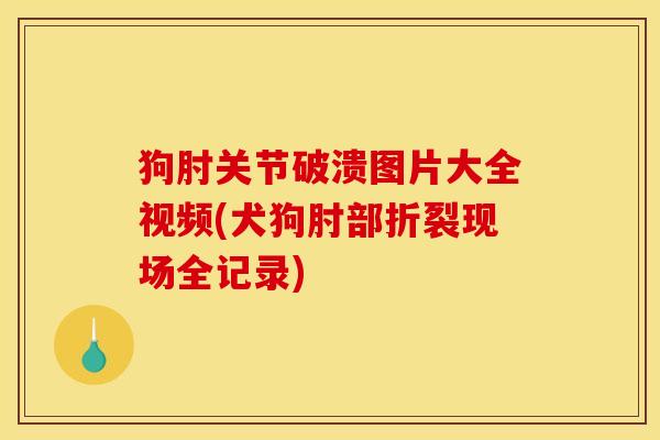 狗肘关节破溃图片大全视频(犬狗肘部折裂现场全记录) 狗肘关节破溃图片大全视频(犬狗肘部折裂现场全记录)