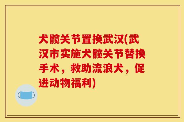 犬髋关节置换武汉(武汉市实施犬髋关节替换手术,救助流浪犬,促进动物福利) 犬髋关节置换武汉(武汉市实施犬髋关节替换手术,救助流浪犬,促进动物福利)