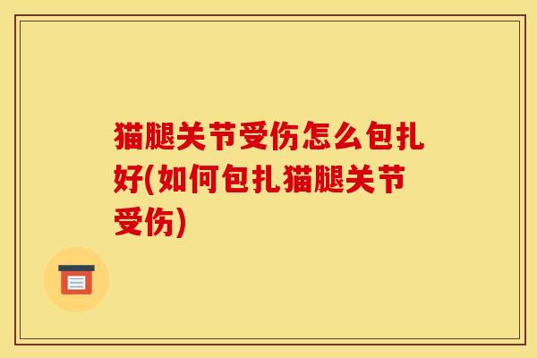 猫腿关节受伤怎么包扎好(如何包扎猫腿关节受伤)