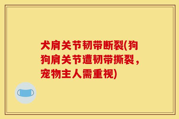 犬肩关节韧带断裂(狗狗肩关节遭韧带撕裂,宠物主人需重视) 犬肩关节韧带断裂(狗狗肩关节遭韧带撕裂,宠物主人需重视)