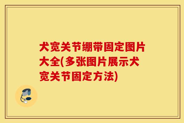 犬宽关节绷带固定图片大全(多张图片展示犬宽关节固定方法)