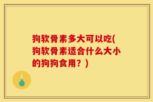 狗软骨素多大可以吃(狗软骨素适合什么大小的狗狗食用？)