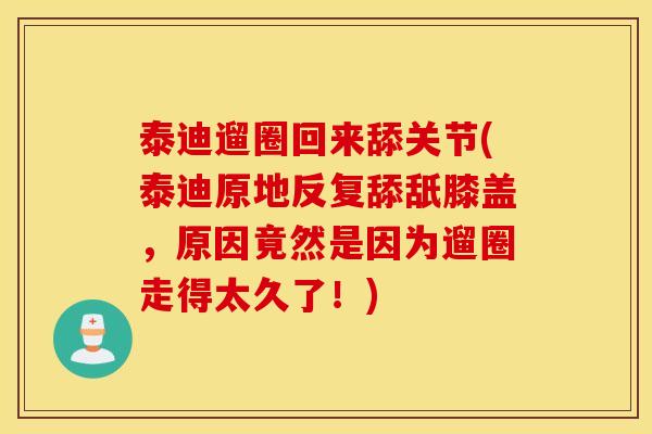 泰迪遛圈回来舔关节(泰迪原地反复舔舐膝盖，原因竟然是因为遛圈走得太久了！)