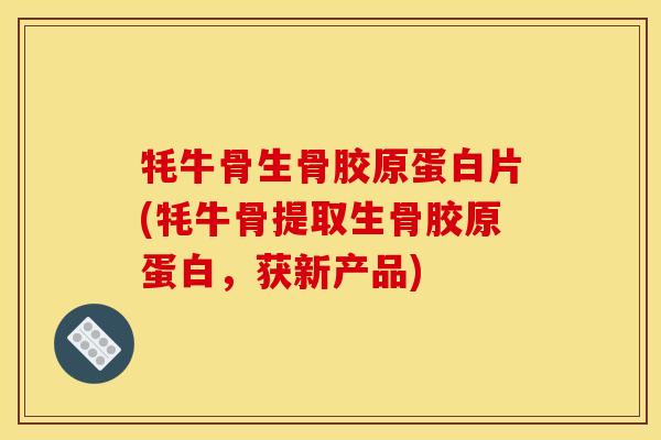 牦牛骨生骨胶原蛋白片(牦牛骨提取生骨胶原蛋白，获新产品)