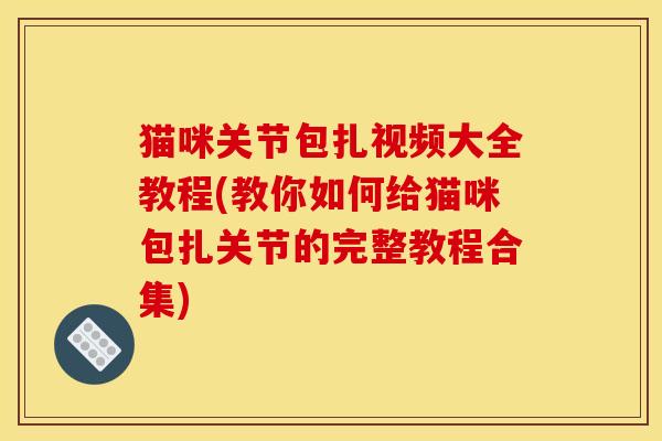 猫咪关节包扎视频大全教程(教你如何给猫咪包扎关节的完整教程合集) 猫咪关节包扎视频大全教程(教你如何给猫咪包扎关节的完整教程合集)