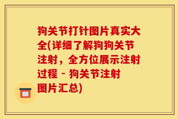 狗关节打针图片真实大全(详细了解狗狗关节注射，全方位展示注射过程 - 狗关节注射图片汇总)