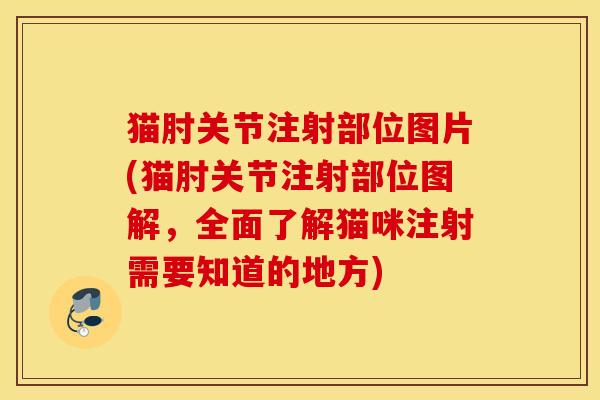 猫肘关节注射部位图片(猫肘关节注射部位图解，全面了解猫咪注射需要知道的地方)