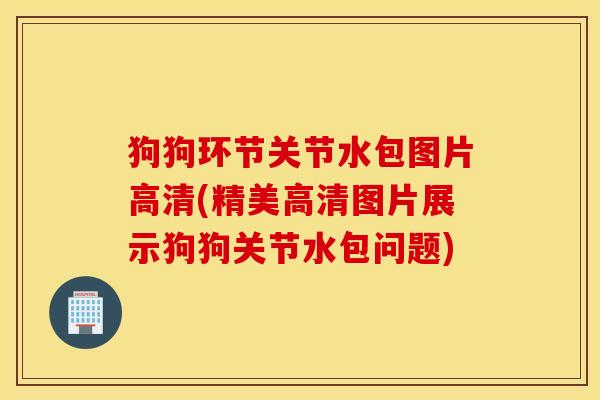 狗狗环节关节水包图片高清(精美高清图片展示狗狗关节水包问题)