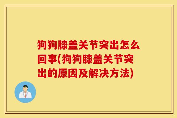 狗狗膝盖关节突出怎么回事(狗狗膝盖关节突出的原因及解决方法)