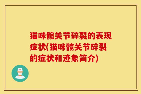 猫咪髋关节碎裂的表现症状(猫咪髋关节碎裂的症状和迹象简介) 猫咪髋关节碎裂的表现症状(猫咪髋关节碎裂的症状和迹象简介)