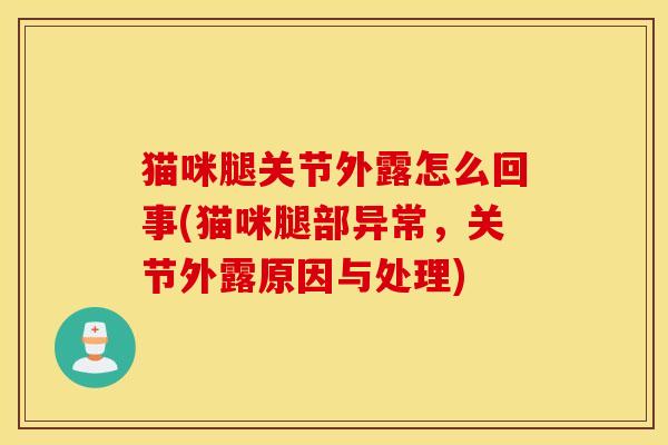 猫咪腿关节外露怎么回事(猫咪腿部异常，关节外露原因与处理)