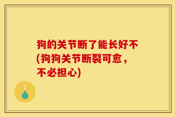 狗的关节断了能长好不(狗狗关节断裂可愈,不必担心) 狗的关节断了能长好不(狗狗关节断裂可愈,不必担心)