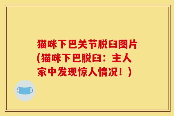 猫咪下巴关节脱臼图片(猫咪下巴脱臼:主人家中发现惊人情况!) 猫咪下巴关节脱臼图片(猫咪下巴脱臼:主人家中发现惊人情况!)