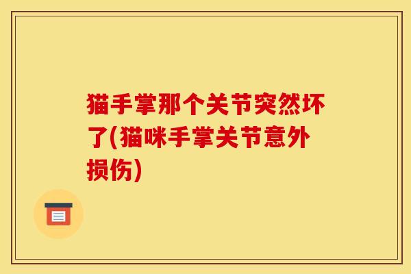 猫手掌那个关节突然坏了(猫咪手掌关节意外损伤)