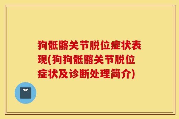 狗骶髂关节脱位症状表现(狗狗骶髂关节脱位症状及诊断处理简介) 狗骶髂关节脱位症状表现(狗狗骶髂关节脱位症状及诊断处理简介)