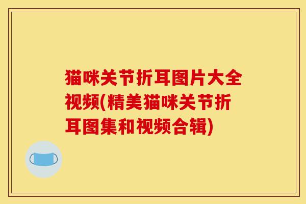 猫咪关节折耳图片大全视频(精美猫咪关节折耳图集和视频合辑) 猫咪关节折耳图片大全视频(精美猫咪关节折耳图集和视频合辑)